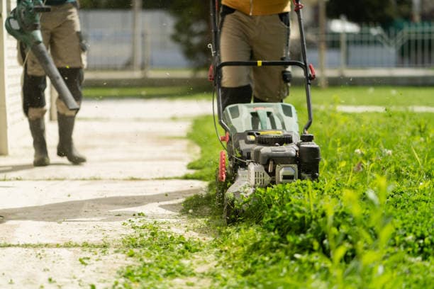 Push mower cutting a Halifax backyard lawn in afternoon light